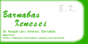 barnabas kenesei business card